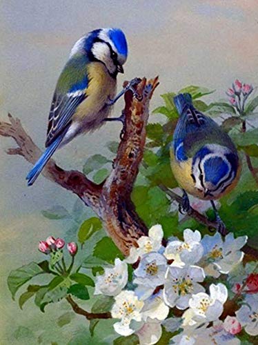 Blue Wren | Diamond Painting