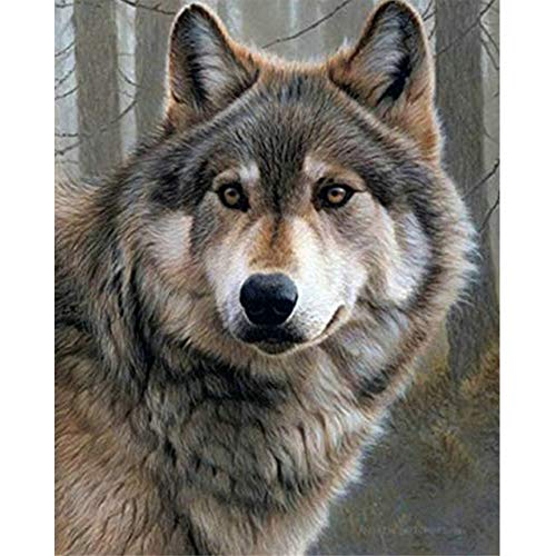 Wolf | Diamond Painting