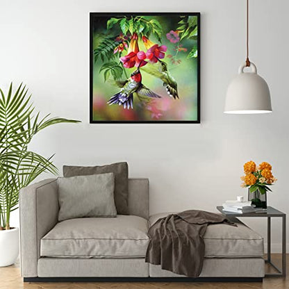 Hummingbird | Diamond Painting