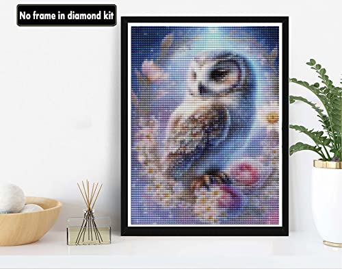 White Owl | Diamond Painting