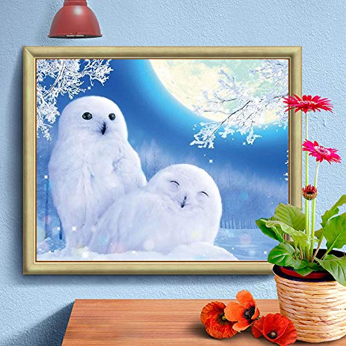 White Owl | Diamond Painting