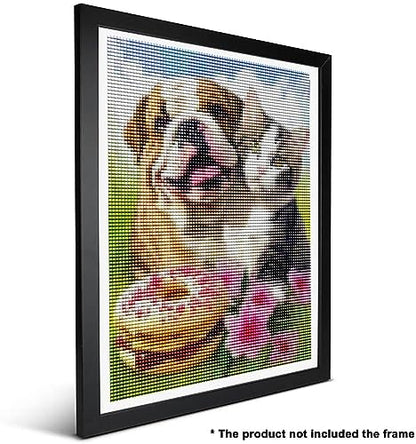 Dog English Bulldog | Diamond Painting