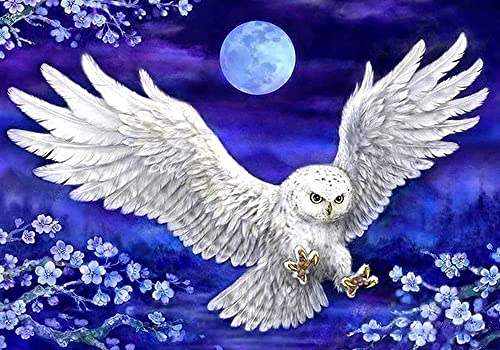 White Owl | Diamond Painting