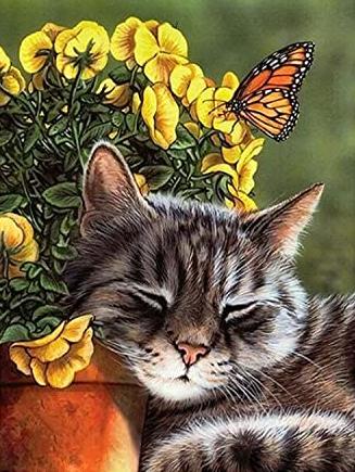 Butterfly Cat | Diamond Painting