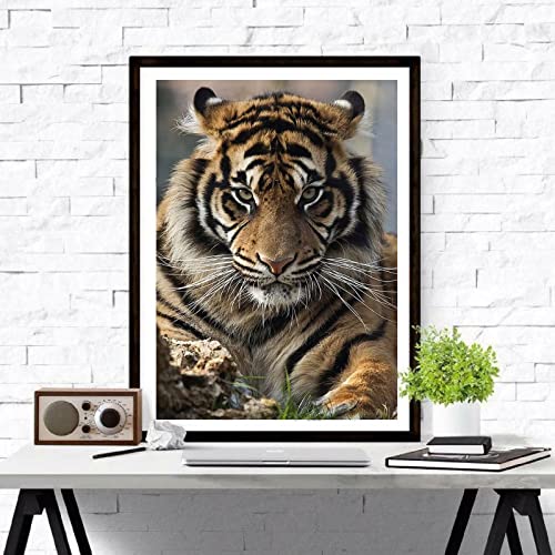 Tiger | Diamond Painting