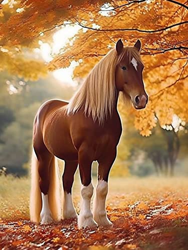 Horse | Diamond Painting