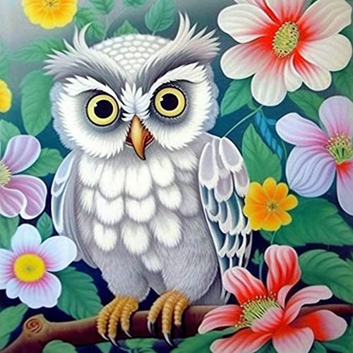 White Owl | Diamond Painting