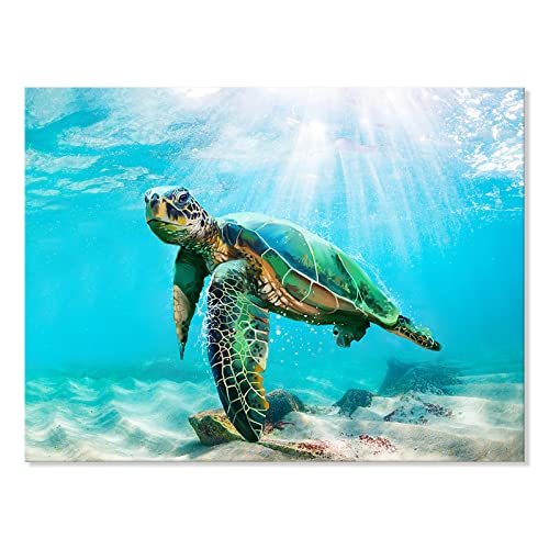 Turtle | Diamond Painting