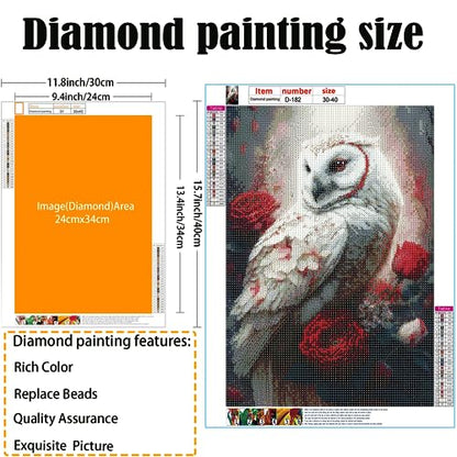 White Owl | Diamond Painting