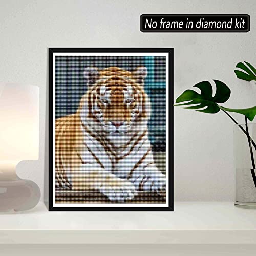 Tiger | Diamond Painting