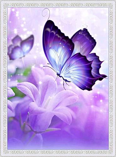 Butterfly | Diamond Painting