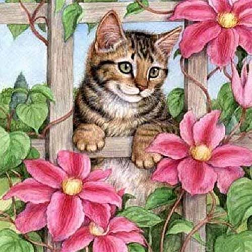 Cat | Diamond Painting