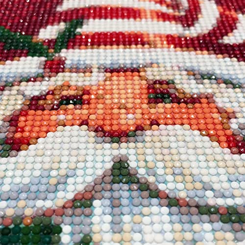 Santa Claus Christmas | Diamond Painting