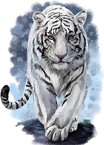 Tiger | Diamond Painting