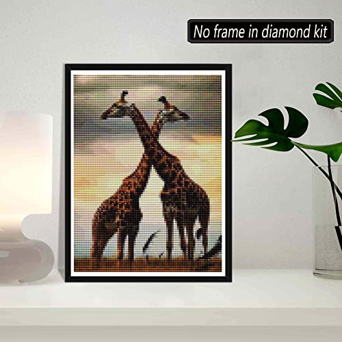 Giraffe | Diamond Painting