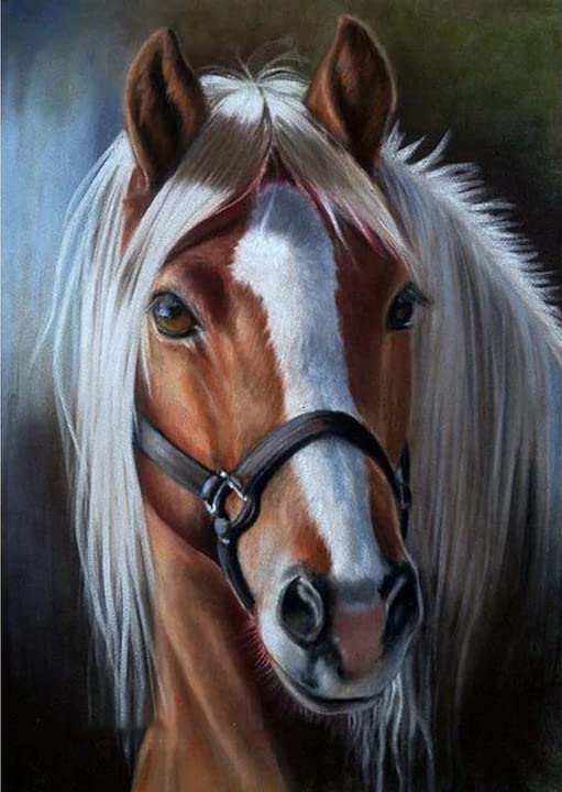 Horse | Diamond Painting