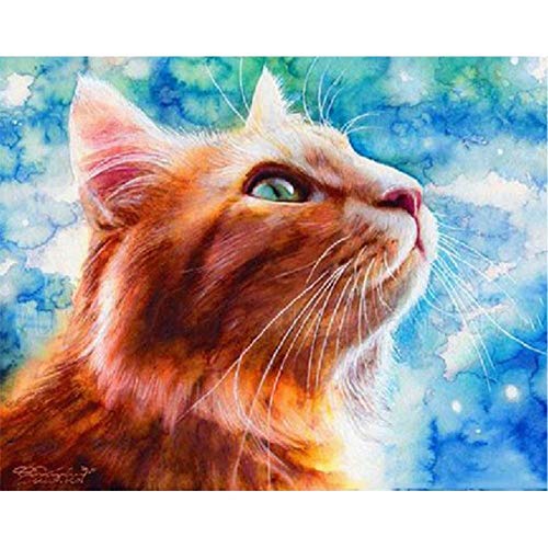 Cat | Diamond Painting