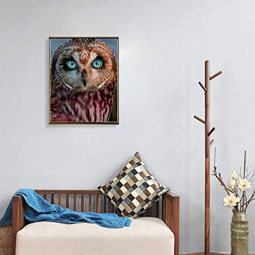 Owl | Diamond Painting