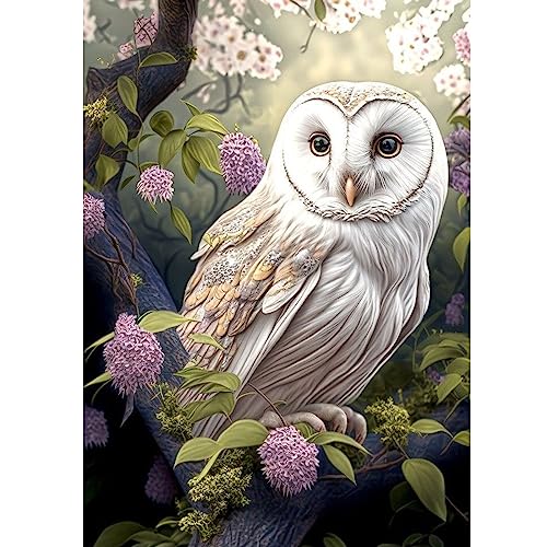 Owl | Diamond Painting