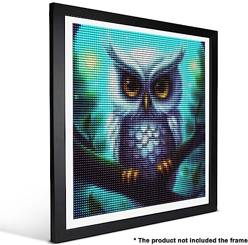 Owl | Diamond Painting