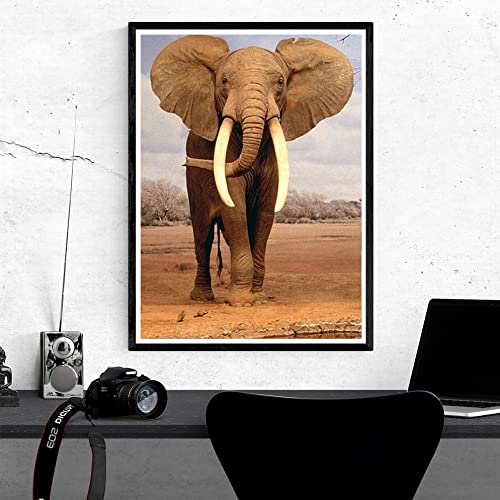 Elephant | Diamond Painting