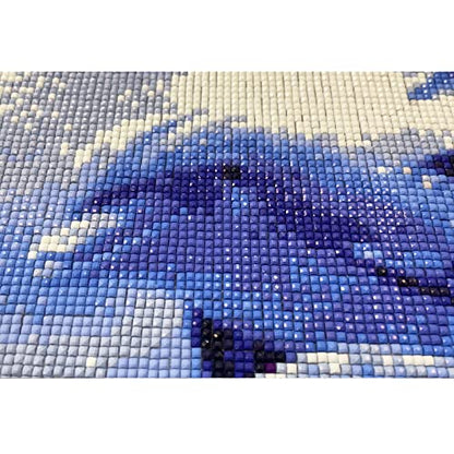 Dolphin | Diamond Painting