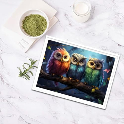 Owl | Diamond Painting