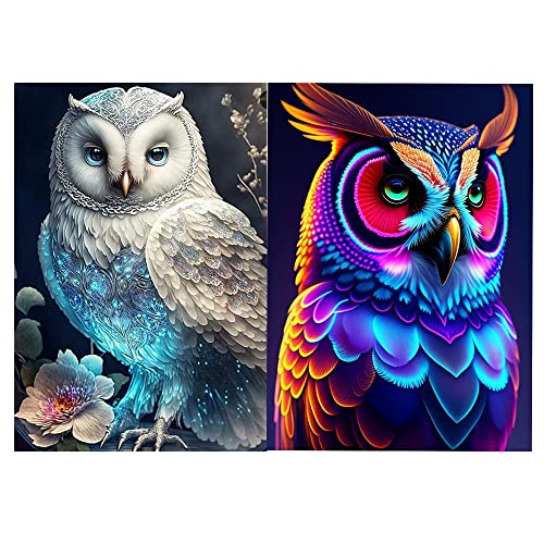 Owl | Diamond Painting