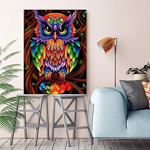 Owl | Diamond Painting