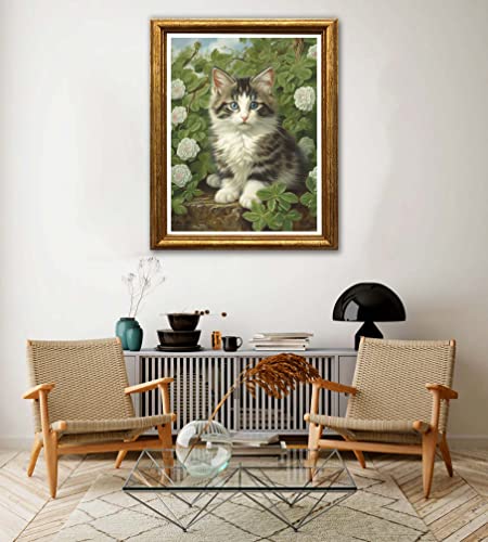 Maine Coon Cat | Diamond Painting