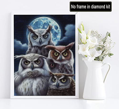 Owl | Diamond Painting