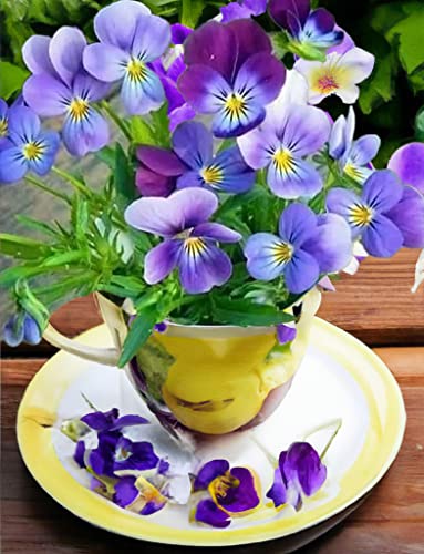 Pansy | Diamond Painting