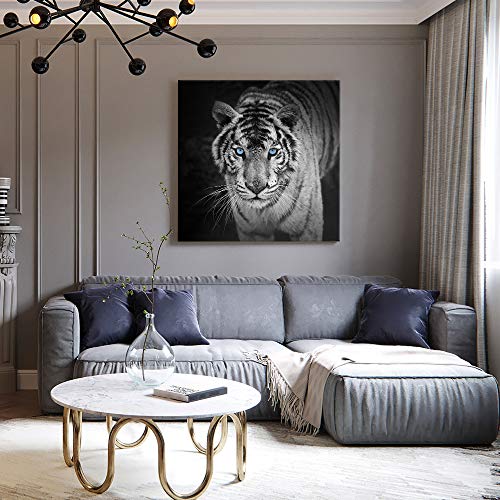 White Tiger Blue Eyes | Diamond Painting