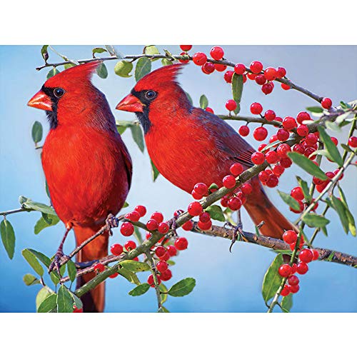 Cardinal Bird | Diamond Painting