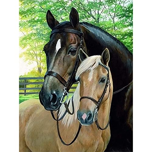 Horse | Diamond Painting