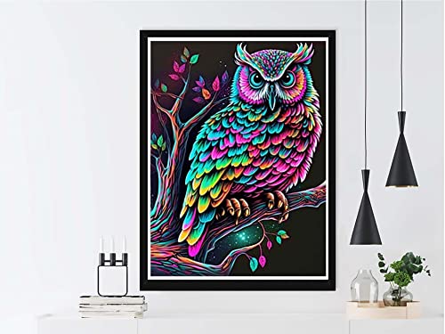 Owl | Diamond Painting