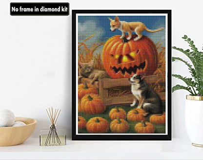 Dog Cat Halloween Pumpkin | Diamond Painting