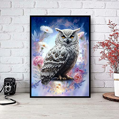 Owl | Diamond Painting