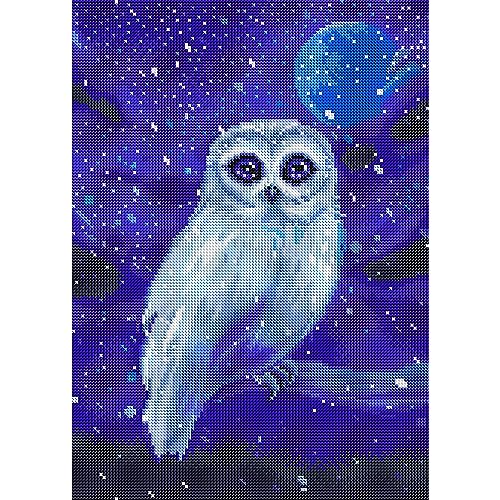 White Owl | Diamond Painting