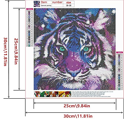 Tiger | Diamond Painting