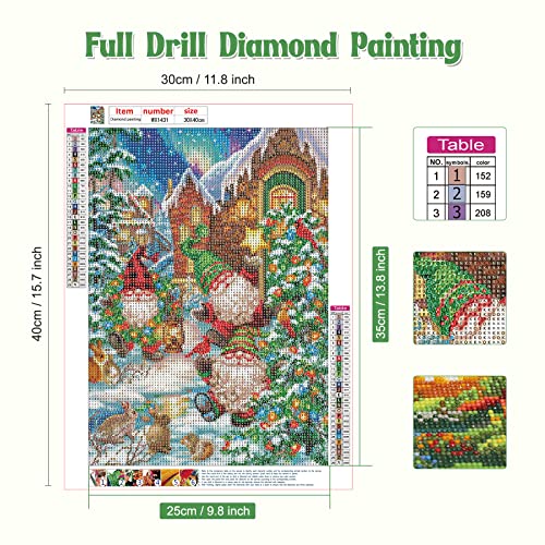 Gnome Christmas | Diamond Painting