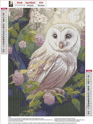 Owl | Diamond Painting