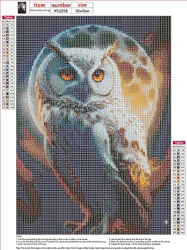 Owl | Diamond Painting