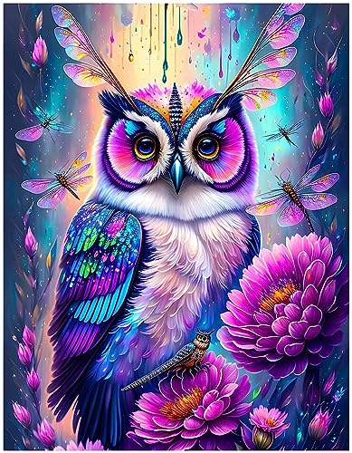 Owl | Diamond Painting