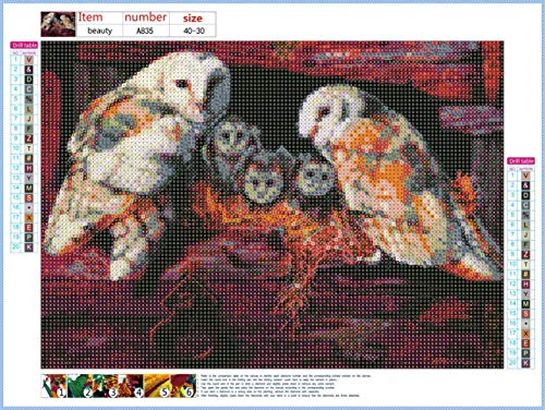 Owl | Diamond Painting