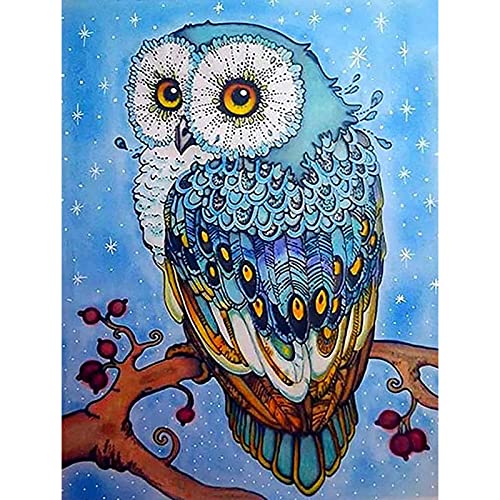 Owl | Diamond Painting