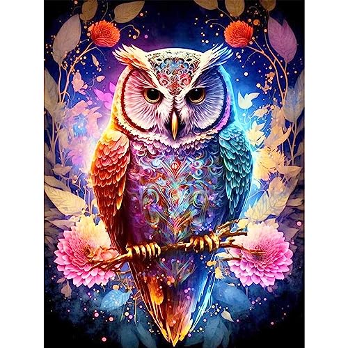 Owl | Diamond Painting