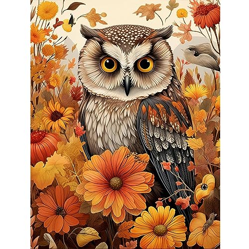 Owl | Diamond Painting