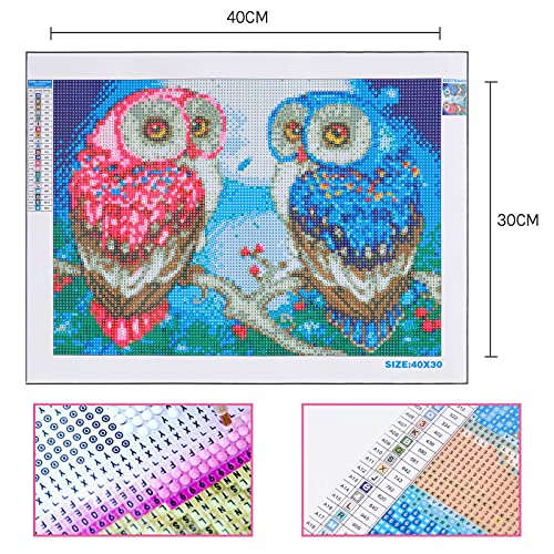 Owl | Diamond Painting