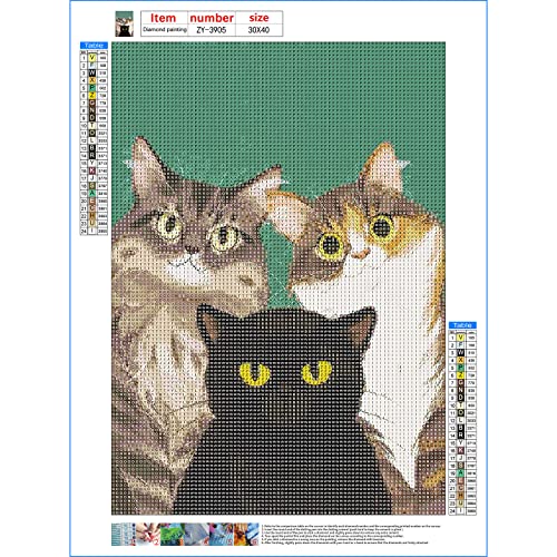 Cat | Diamond Painting